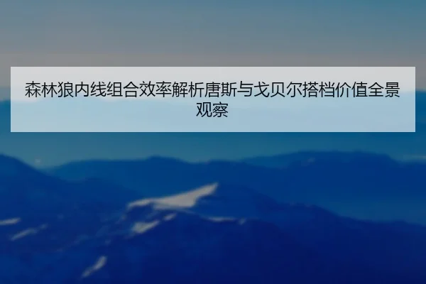 森林狼内线组合效率解析唐斯与戈贝尔搭档价值全景观察
